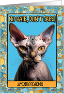 End of Chemo Congratulations Hairless Sphynx Cat card