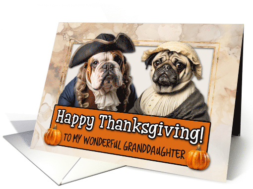Granddaughter Thanksgiving Pilgrim Bulldog and Pug couple card