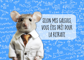 French Retirement Congratulations Math Mouse