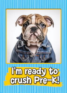 First Day in Pre-K English Bulldog Pup