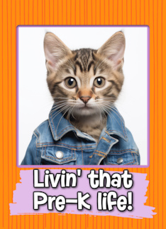 First Day in Pre-K Tabby Kitten