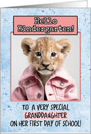 Granddaughter First Day in Kindergarten Lion Cub card