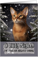 Abyssinian Cat O Holy Night Christmas card