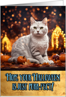 White Cat Halloween card