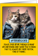 Thank You Friend Cats in Denim card