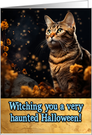 Tortoiseshell Cat Halloween card