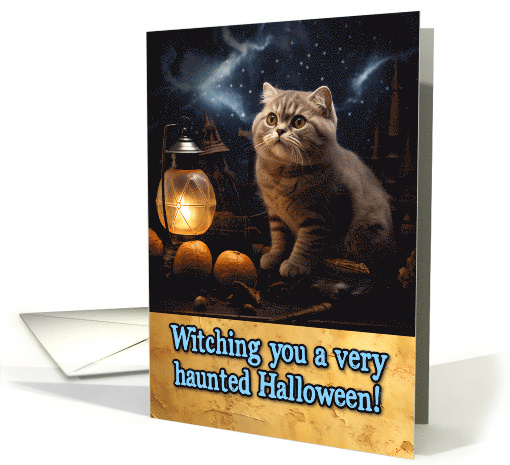 Scottish Fold Cat Halloween card (1787612)