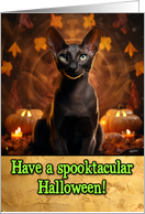 Oriental Shorthair Cat Halloween card