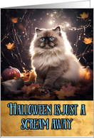 Himalayan Cat Halloween card