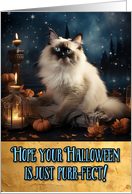 Birman Cat Halloween card