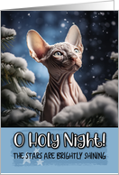 Sphynx Cat O Holy Night Christmas card