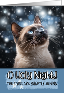 Siamese Cat O Holy Night Christmas card