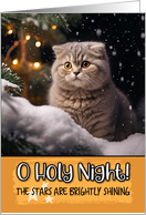 Scottish Fold Cat O Holy Night Christmas card