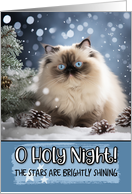 Himalayan Cat O Holy Night Christmas card