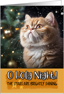 Exotic Shorthair Cat O Holy Night Christmas card