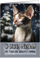 Cornish Rex Cat O Holy Night Christmas card