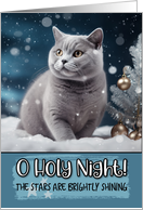 British Shorthair Cat O Holy Night Christmas card