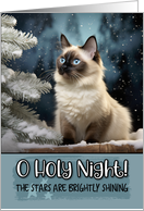 Balinese Cat O Holy...