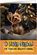 Yorkshire Terrier O Holy Night Christmas card