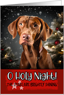 Vizsla O Holy Night Christmas card