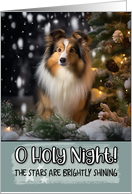 Shetland Sheepdog O Holy Night Christmas card
