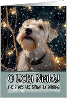 Sealyham Terrier O Holy Night Christmas card