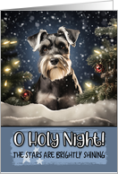 Schnauzer O Holy...