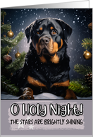 Rottweiler O Holy...