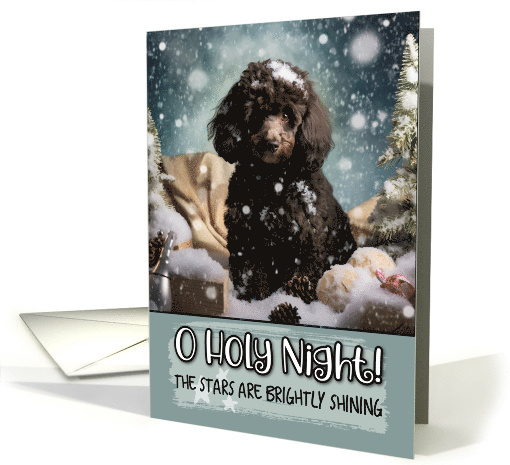 Black Poodle O Holy Night Christmas card (1788004)