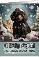 Black Poodle O Holy Night Christmas card