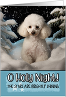 White Poodle O Holy Night Christmas card