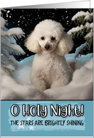 White Poodle O Holy...