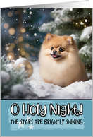 Pomeranian O Holy...