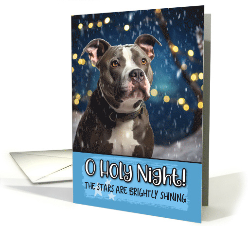 Pit Bull O Holy Night Christmas card (1788010)
