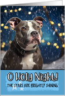 Pit Bull O Holy Night Christmas card