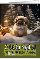 Pekingese O Holy Night Christmas card