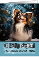 Papillon O Holy Night Christmas card