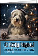 Old English Sheepdog O Holy Night Christmas card