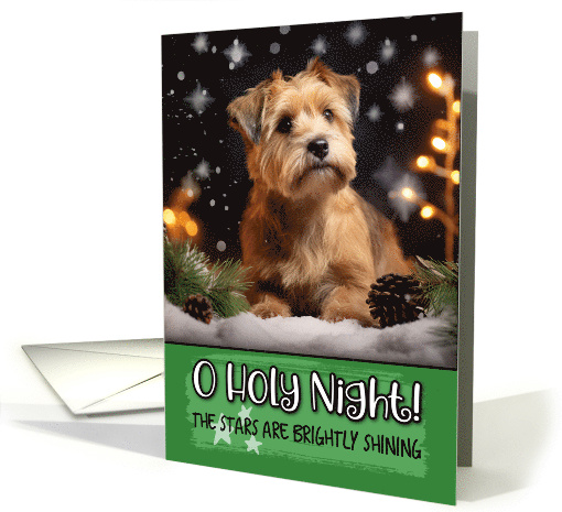 Norfolk Terrier O Holy Night Christmas card (1788020)