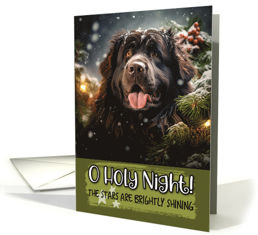Newfoundland O Holy Night Christmas card (1788022)