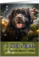 Newfoundland O Holy Night Christmas card