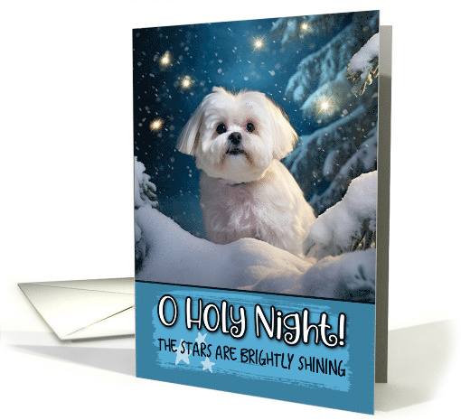 Maltese O Holy Night Christmas card (1788024)