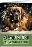 Leonberger O Holy Night Christmas card