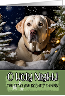 Labrador Retriever Light O Holy Night Christmas card