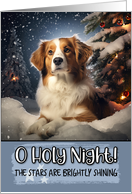 Kooikerhondje O Holy Night Christmas card