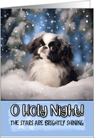 Japanese Chin O Holy...