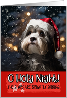Havanese O Holy Night Christmas card