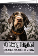 German Wirehaired Pointer O Holy Night Christmas card