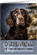 German Longhaired Pointer O Holy Night Christmas card