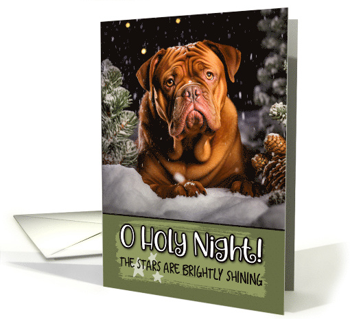 French Mastiff O Holy Night Christmas card (1788076)
